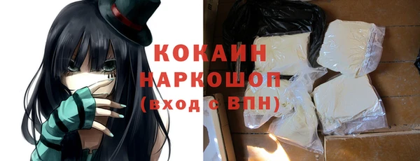 индика Баксан