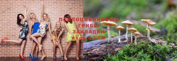 молекула духа Балахна