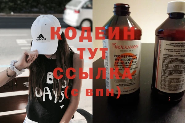 индика Баксан