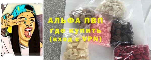индика Баксан