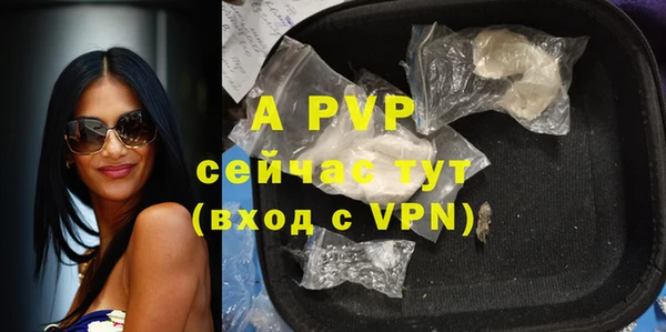 индика Баксан