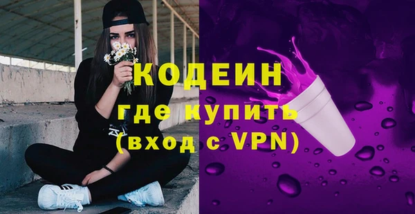 индика Баксан