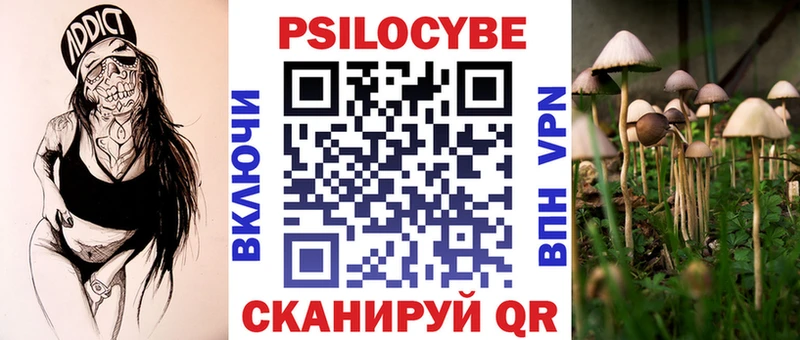 Галлюциногенные грибы Cubensis Петровск-Забайкальский